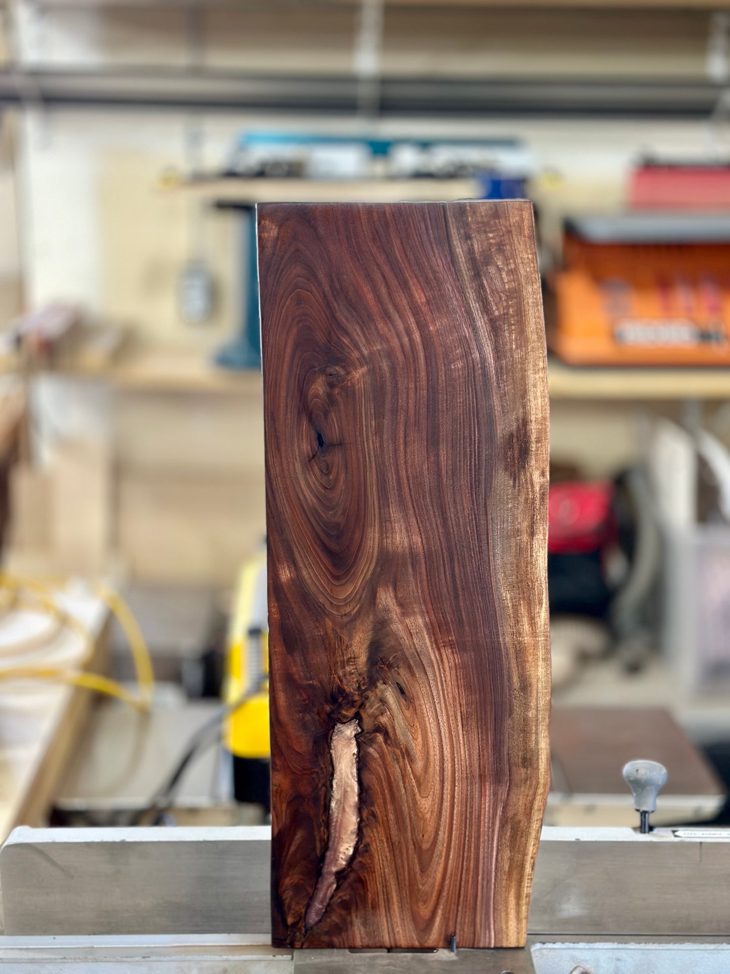 Oregon Black Walnut Charcuterie Board #4