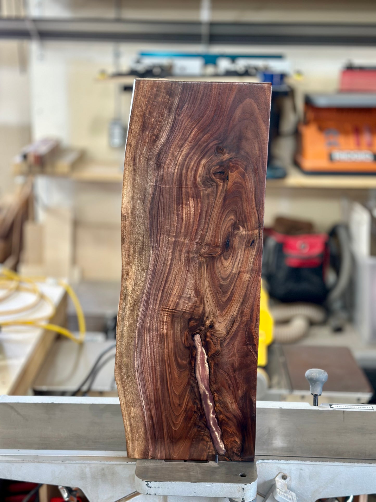 Oregon Black Walnut Charcuterie Board #4